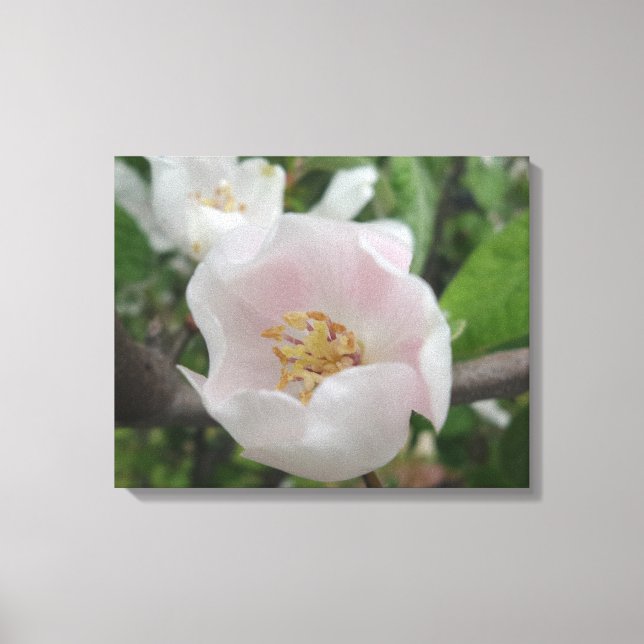 Reinheit Leinwand (Vorderseite)