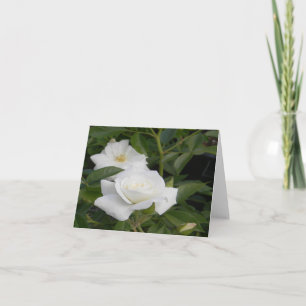 Reinheit und Frieden... Karte