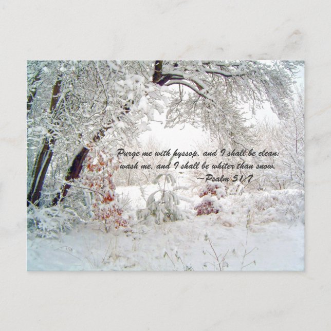 Reinigen Sie mich mit Bindehaut, und ich werde rei Postkarte (Vorderseite)