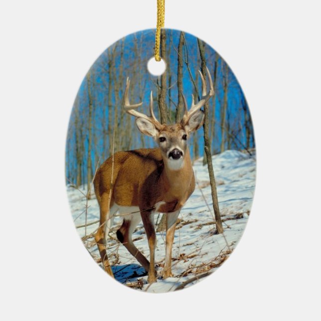 Reinirer Fotovorlage Xmas Keepake Decoration Keramikornament (Vorne)