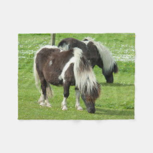Reinrassige Shetland Paint Ponys Fleecedecke