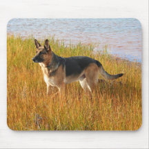 Reinrassiger Schäferhund Mousepad