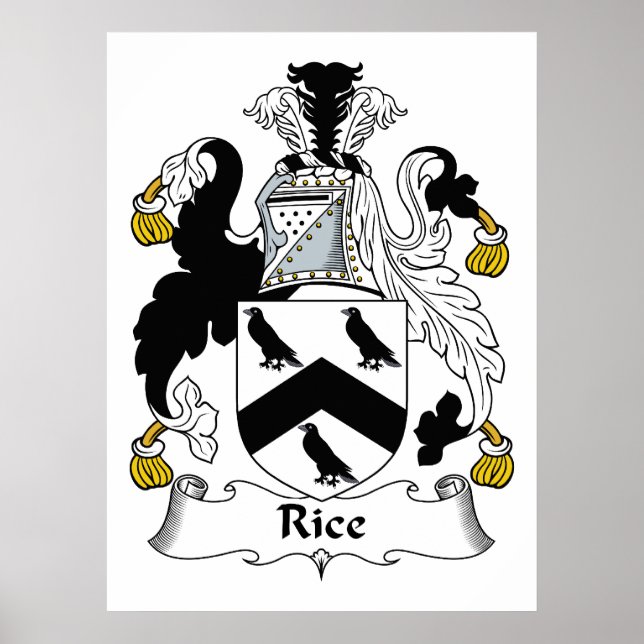 Reis Familienwappen Poster (Vorne)