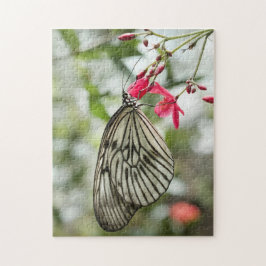 Reis-Papierschmetterling, Papierdrachen, Idee