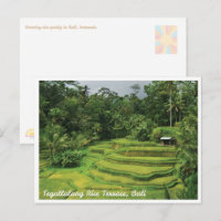 Reis-Terrassen auf Bali - Postkarte für Reiseimpre