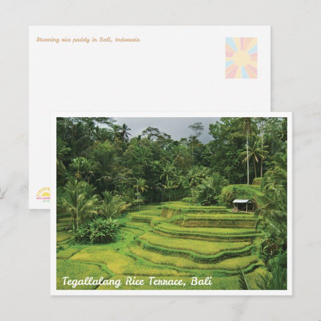 Reis-Terrassen auf Bali - Postkarte für Reiseimpre (Vorne/Hinten)