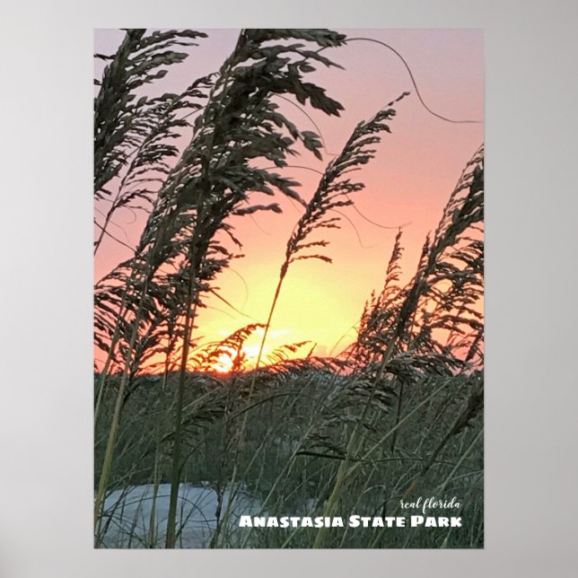 Reise-  | Florida - Anastasia Sea Oat Sunset Poster (Vorne)