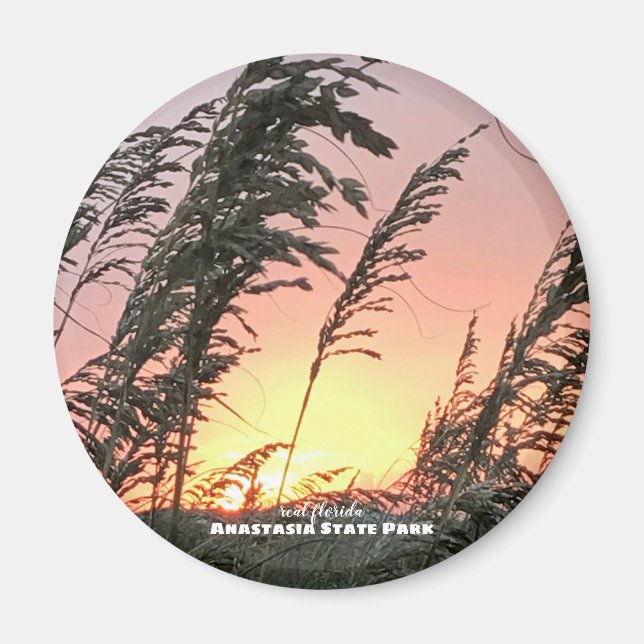 Reise-  | Florida — Anastasia Sea Oats Magnet (Vorne)