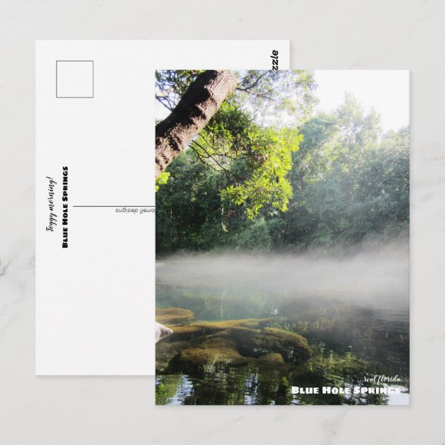 Reise-  | Florida - Blaue Nadelspinge Foggy Mornin Postkarte (Vorne/Hinten)