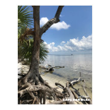 Reise-  | Florida - Cape San Blas Beach