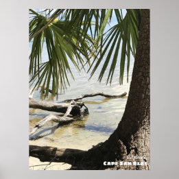 Reise-  | Florida - Cape San Blas Driftwood Poster