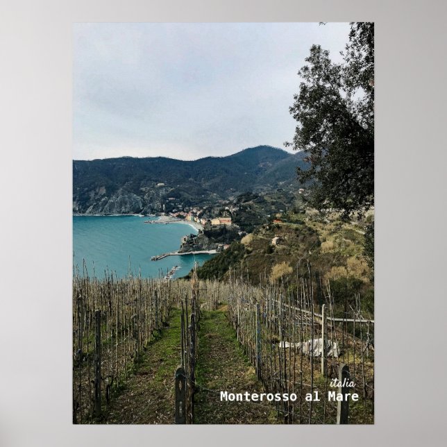 Reise-  | Italien - Monterosso Wintergarten Poster (Vorne)
