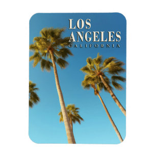 Reise nach Los Angeles, Kalifornien, Palmenbaum im Magnet