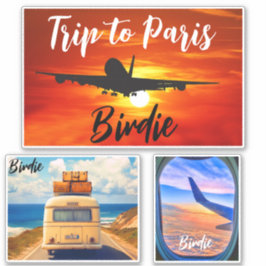 Reise nach Paris (Briefmarke für Reisen) Flugzeugk Aufkleber