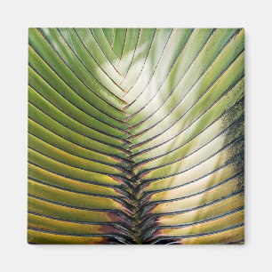 Reisebaum- Guadeloupe Magnet