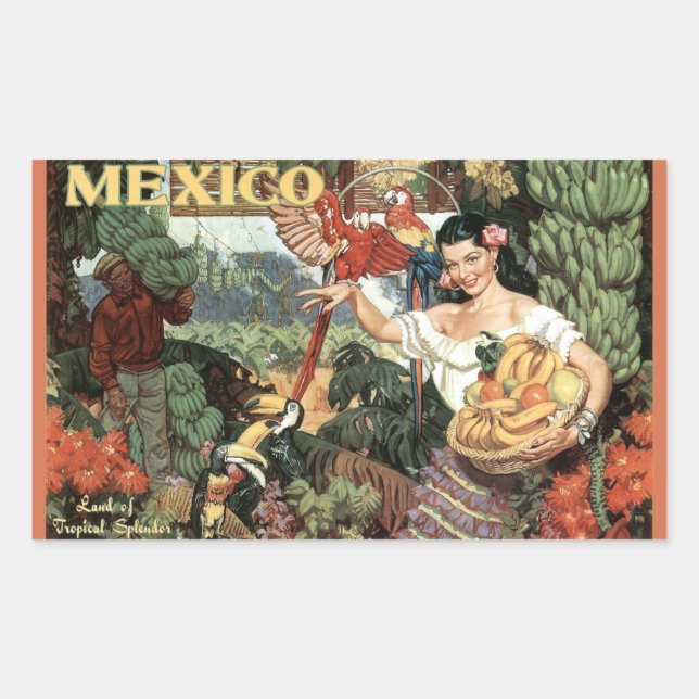Reisemobile in Mexiko Rechteckiger Aufkleber (Vorderseite)