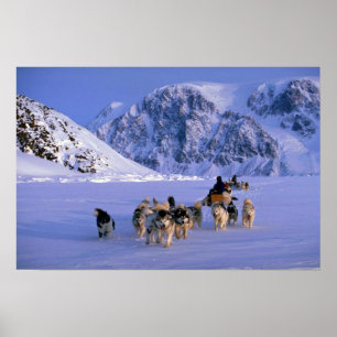 Reisen, Ellesmere-Insel Poster