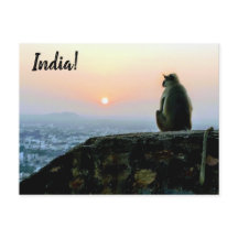 Reisen Friedliche Meditation Affe Indien Sunset