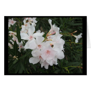 Reisen in Norditalien