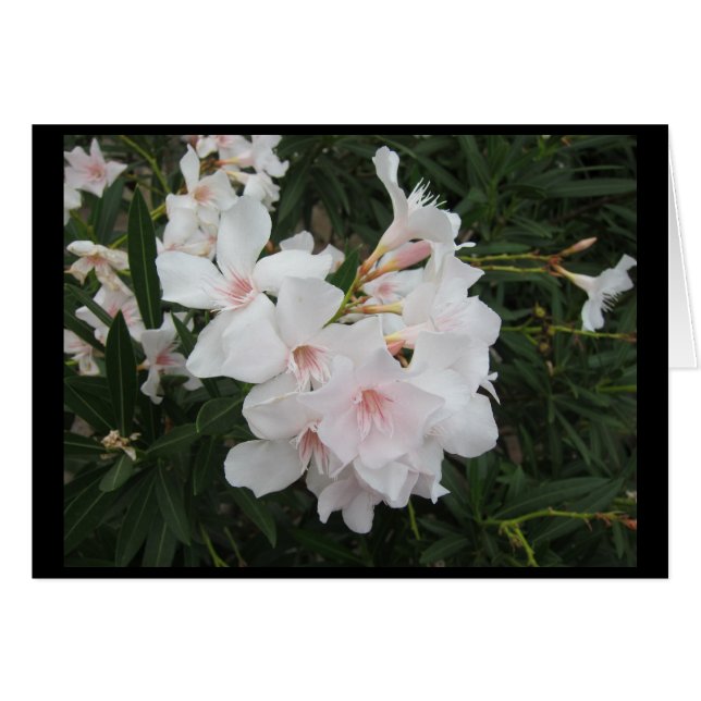 Reisen in Norditalien (Vorderseite (Horizontal))