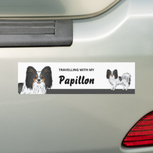 Reisen mit meinem dreifarbigen Papillon-Hund Autoaufkleber