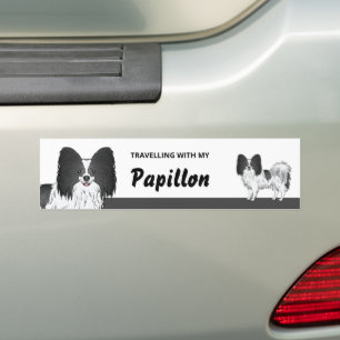 Reisen mit meinem Schwarz-Weiß-Papillon-Hund Autoaufkleber
