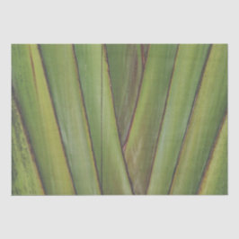 Reisende Palm Tissue Paper Seidenpapier