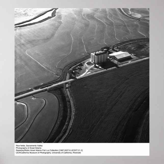 Reisfelder, Sacramento-Tal, von Ansel Adams Poster (Vorne)