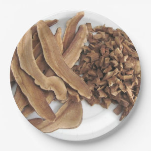 Reishi Mushroom Paper Plate Pappteller