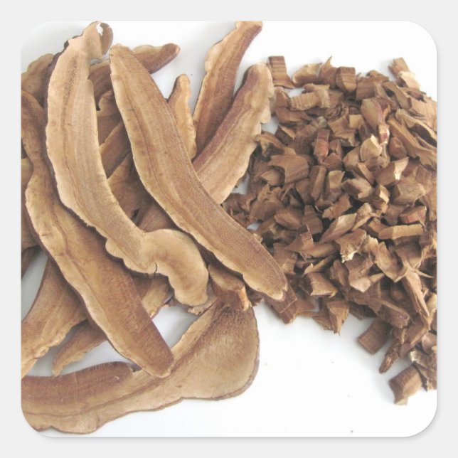 Reishi Mushroom Sticker (Vorderseite)