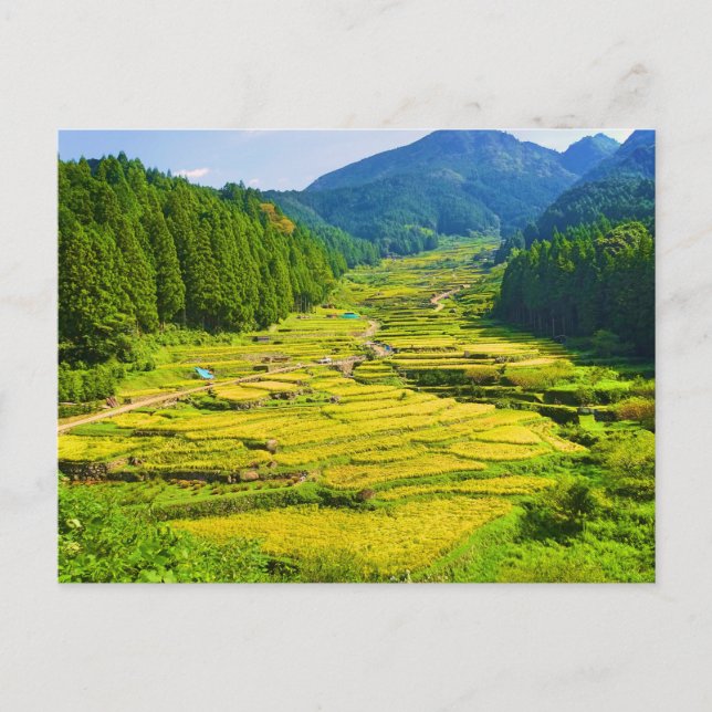 Reispflanzung in den Bergen Asiens Landschaft Postkarte (Vorderseite)