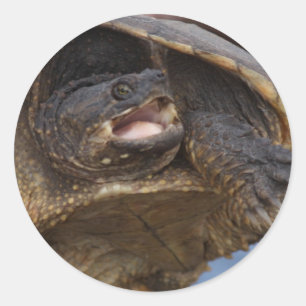 Reißende Schildkröte-Aufkleber Runder Aufkleber