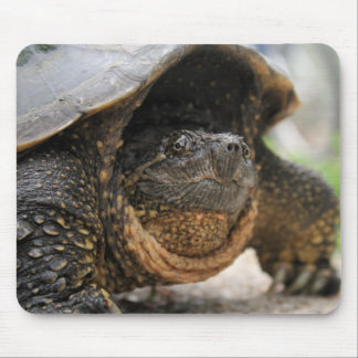 Reißende Schildkröte Mousepad
