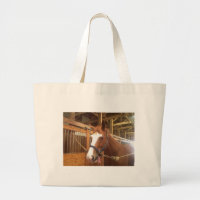Reißverschluss zugemachte Tasche