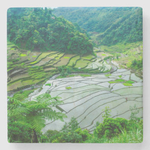 Reisterrassen-Landschaft, Philippinen Steinuntersetzer