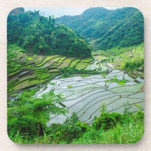 Reisterrassen-Landschaft, Philippinen Untersetzer