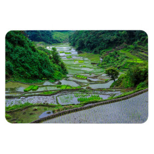 Reisterrassen von Banaue, Luzon Magnet