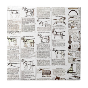 Reitantike Werbung Kunst Fliese