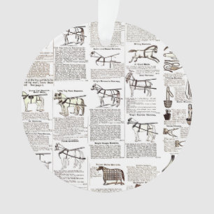 Reitantike Werbung Kunst Ornament