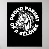 Reiten Gelding - Reiten