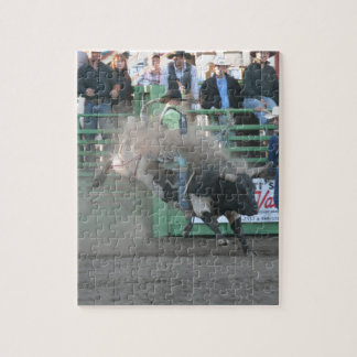 Reiten Sie sie Cowboy