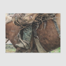 Reiten Western Rodeo Cowboy