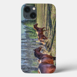 Reitende Reittier- und Reitwiesen Reittiere Foto Case-Mate iPhone Hülle