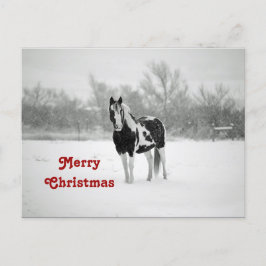 Reiter Schwarz und Weiß Schnee Foto Weihnachten Postkarte