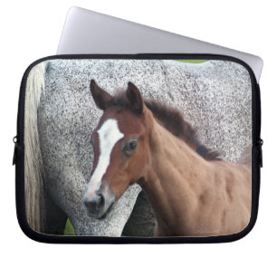 Reitfohlen Laptopschutzhülle
