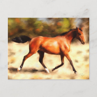 Reitfreund Spirit Horse Art Postkarte