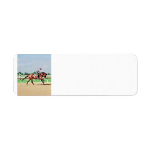 Reitpferd