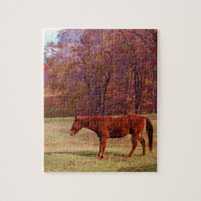 Reitpferd auf einem Grasfeld (Vertikal)