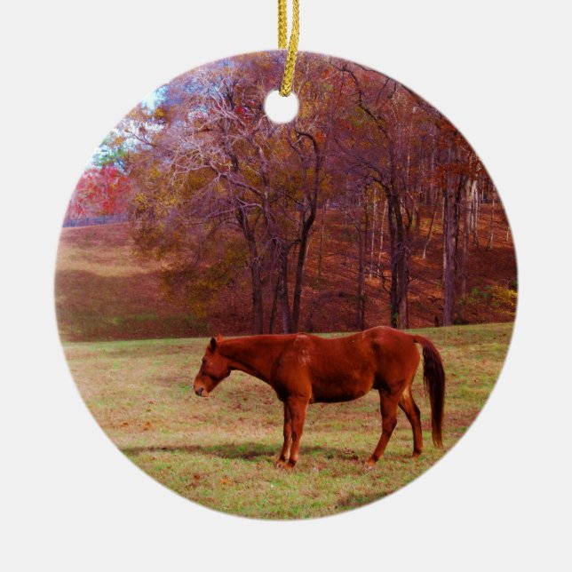 Reitpferd auf einem Grasfeld Keramikornament (Vorne)