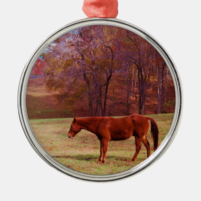 Reitpferd auf einem Grasfeld Ornament Aus Metall (Vorne)